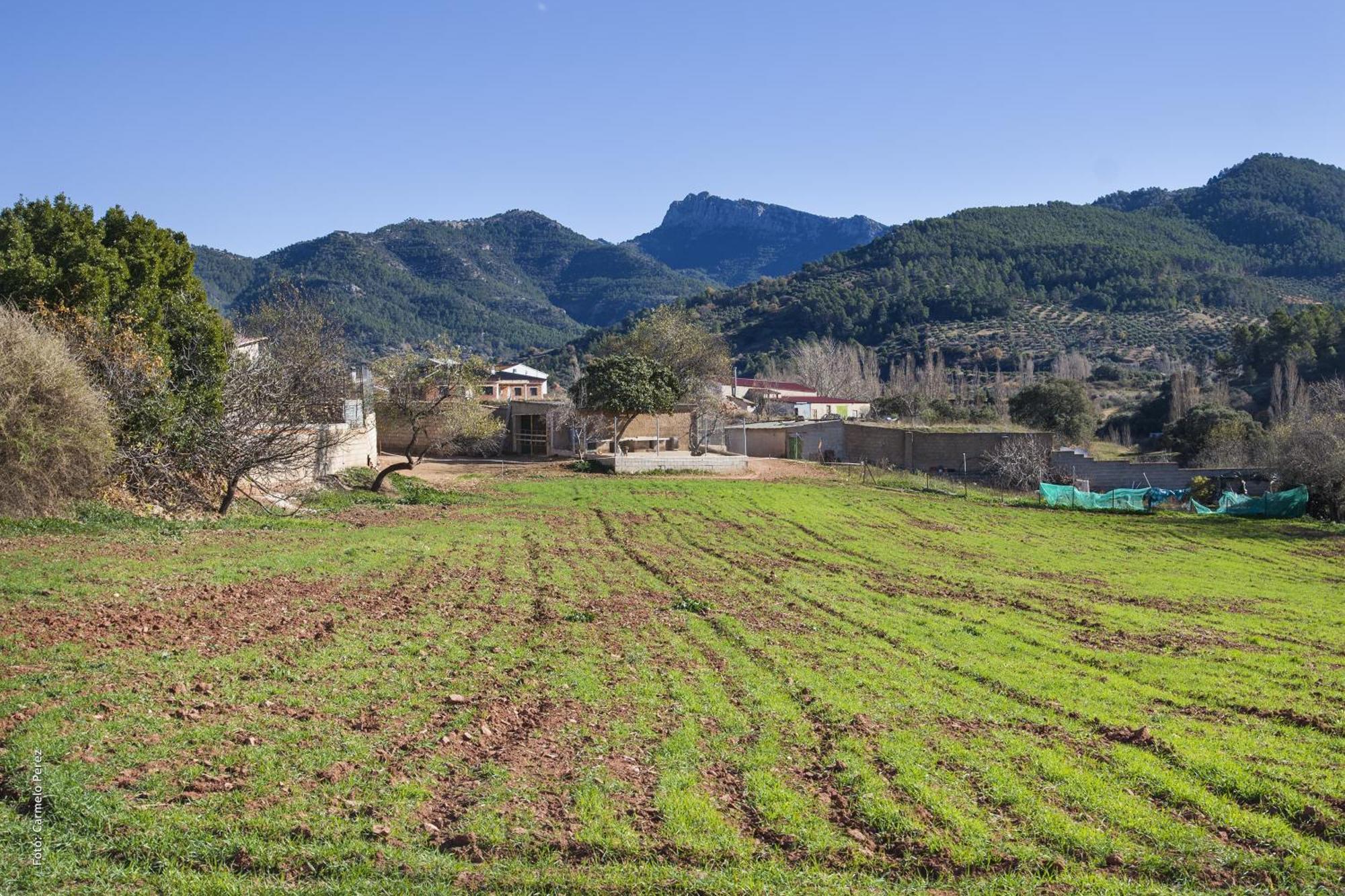 Casa Rural Chache Casto Bienservida Екстериор снимка
